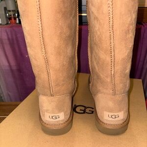 WOMENS CLASSIC TALL UGGS CHESTNUT